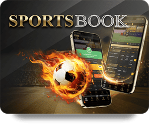 Choosing the Right Live Casino for Your Gaming Experience